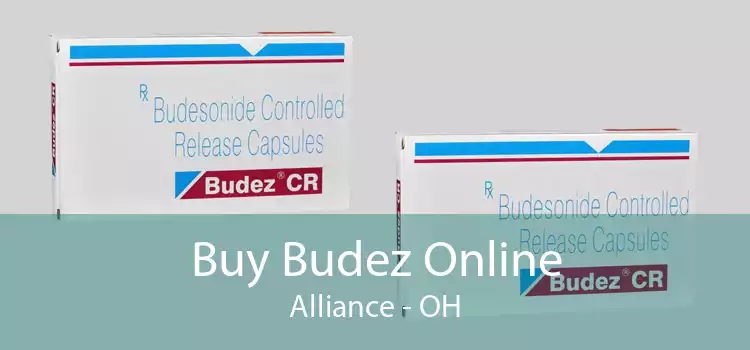 Buy Budez Online Alliance - OH