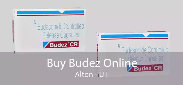Buy Budez Online Alton - UT