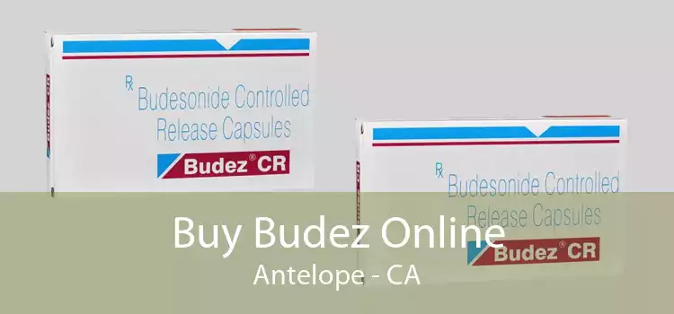 Buy Budez Online Antelope - CA