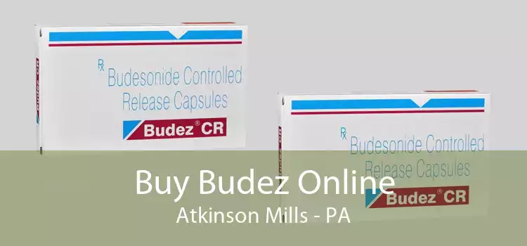 Buy Budez Online Atkinson Mills - PA
