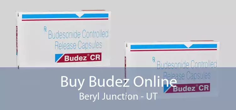 Buy Budez Online Beryl Junction - UT