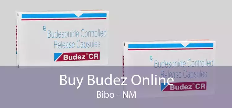 Buy Budez Online Bibo - NM