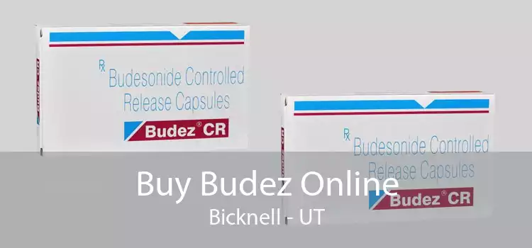 Buy Budez Online Bicknell - UT
