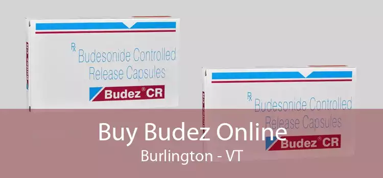Buy Budez Online Burlington - VT