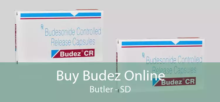 Buy Budez Online Butler - SD