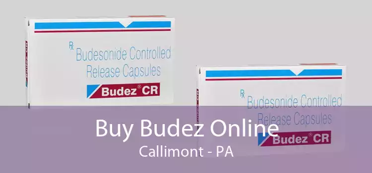 Buy Budez Online Callimont - PA