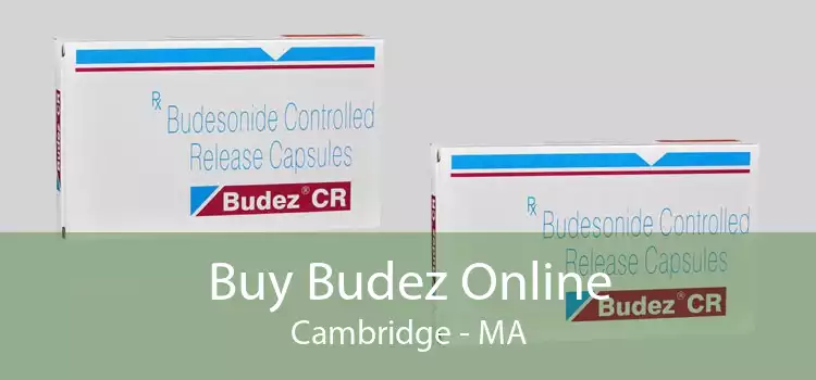Buy Budez Online Cambridge - MA