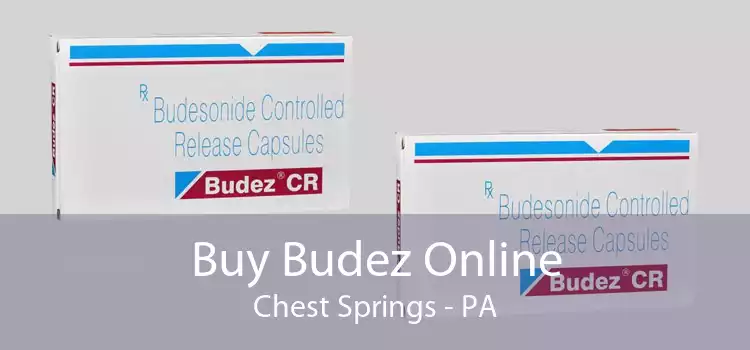 Buy Budez Online Chest Springs - PA