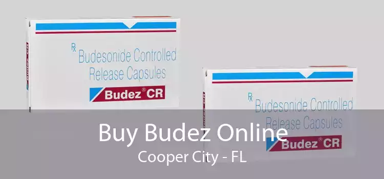 Buy Budez Online Cooper City - FL
