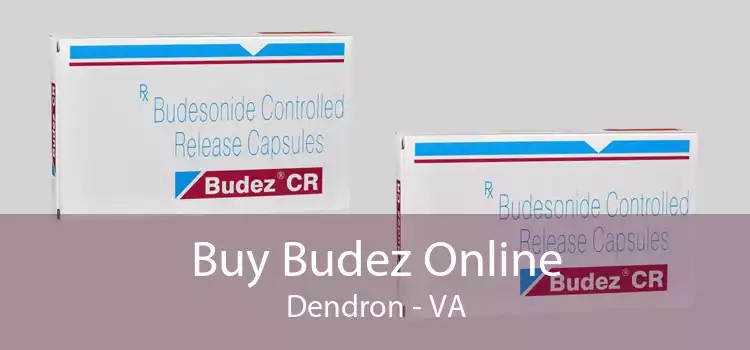 Buy Budez Online Dendron - VA