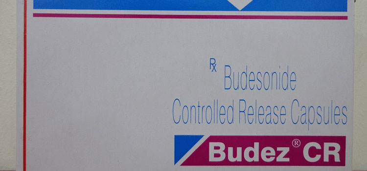 buy Budez in Coeur D Alene, ID